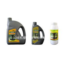 大树浇灌生根灵 山东科海联邦生物科技在现代信息技术领域的跨界创新