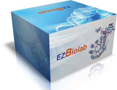 上海生孚生物技术展台 信息技术赋能生物耗材产品展示