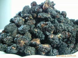 广州亚隆生物科技 融合前沿生物技术的干果产品创新实践