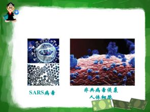 信息技术驱动下的生物技术药物与疫苗研发新纪元