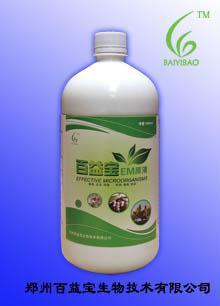 生物技术在供应中降低养鸡成本的诀窍