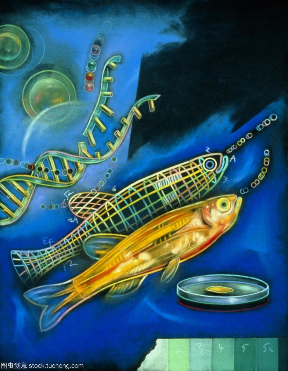 插图题为&ldquo;新波生物技术&rdquo;通过AndrzejDudzinski1992。